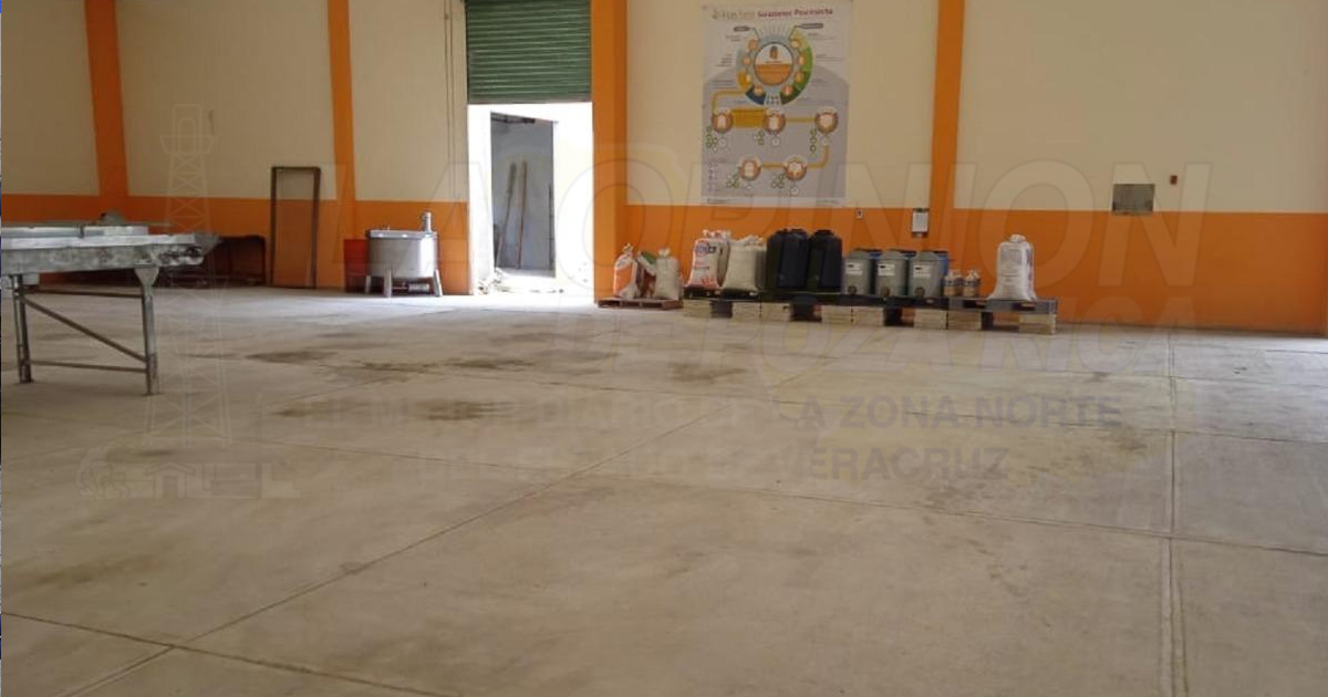 Productores preparan para la captación de maíz