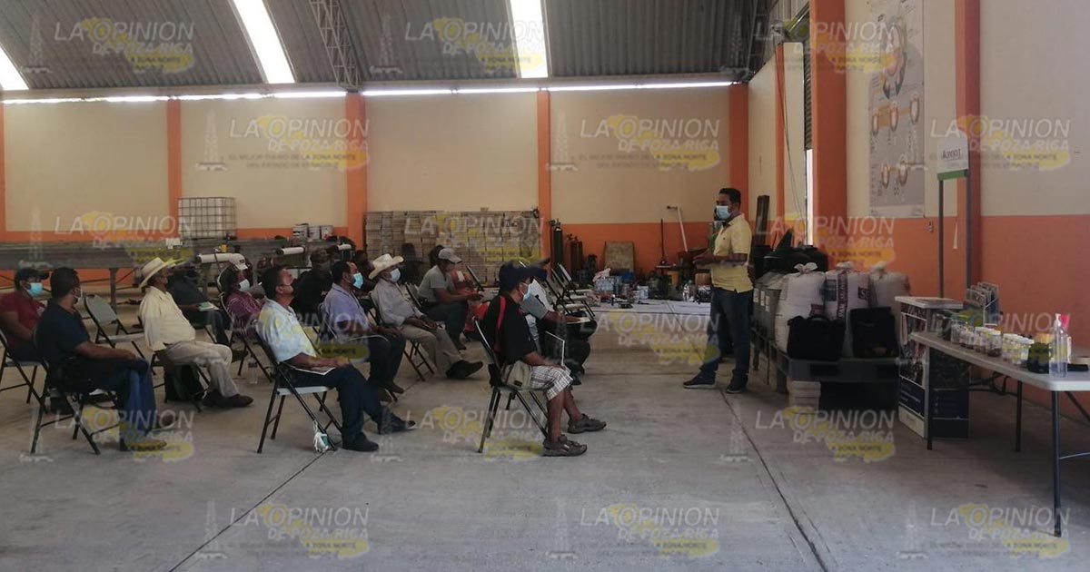 Promueven siembra de cultivos alternativos en Tihuatlán Promueven siembra de cultivos alternativos en Tihuatlán 2