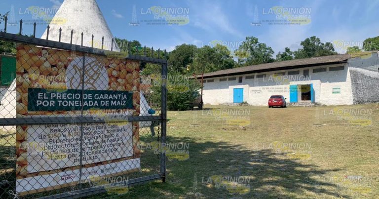 Promueven siembra de maíz y frijol en Tihuatlán