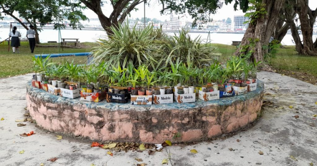 Rescatan el Parque del Niño en Santiago de la Peña