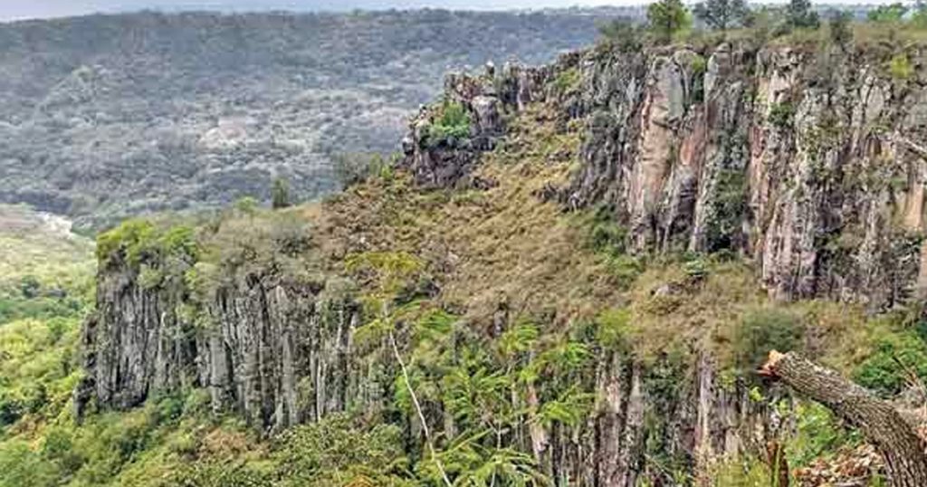 'Cadáveres se deshacían al intentar levantarlos'; barranca de La Aurora se convirtió en 'tiradero' de cuerpos