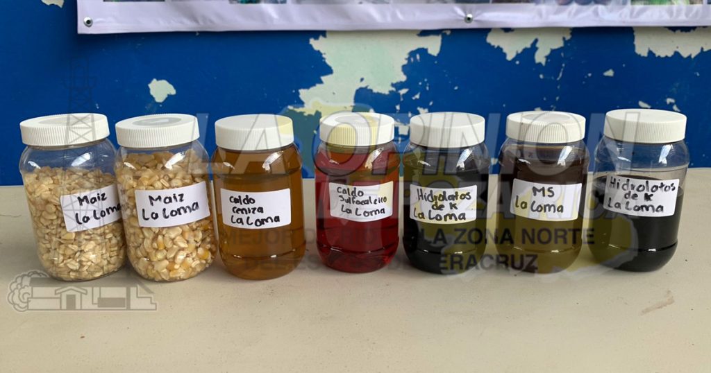 Promueven la autosuficiencia alimentaria en comunidades