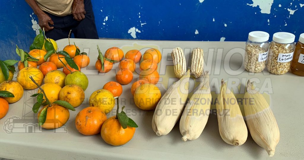 Promueven la autosuficiencia alimentaria en comunidades