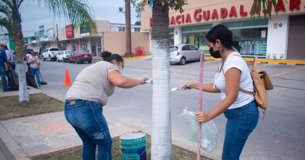 Todos a embellecer la ciudad