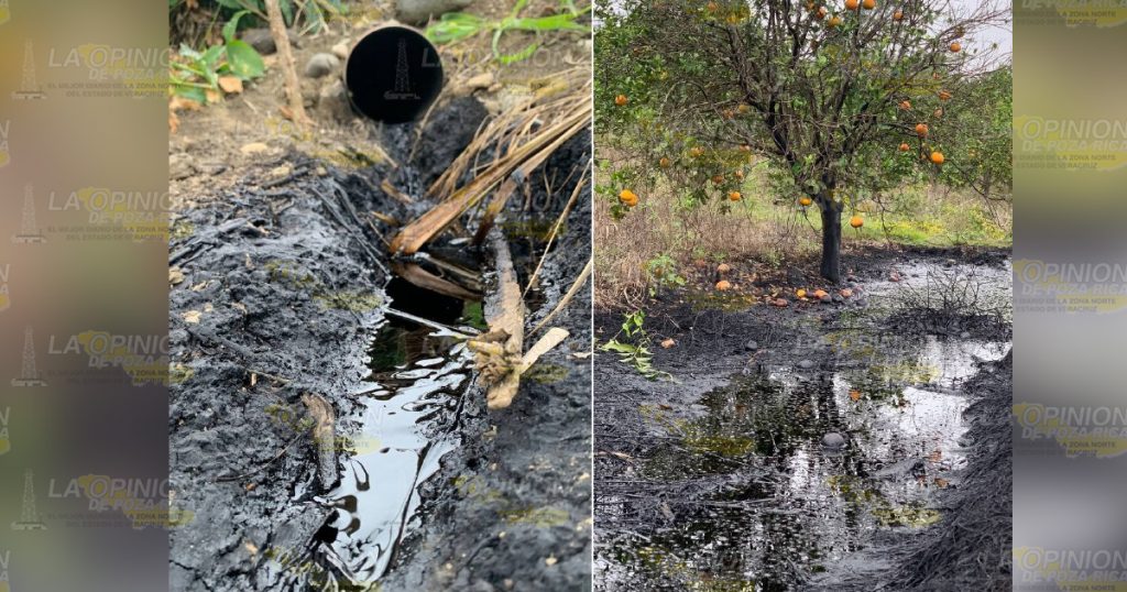 Derrame de chapopote causa daños en parcelas