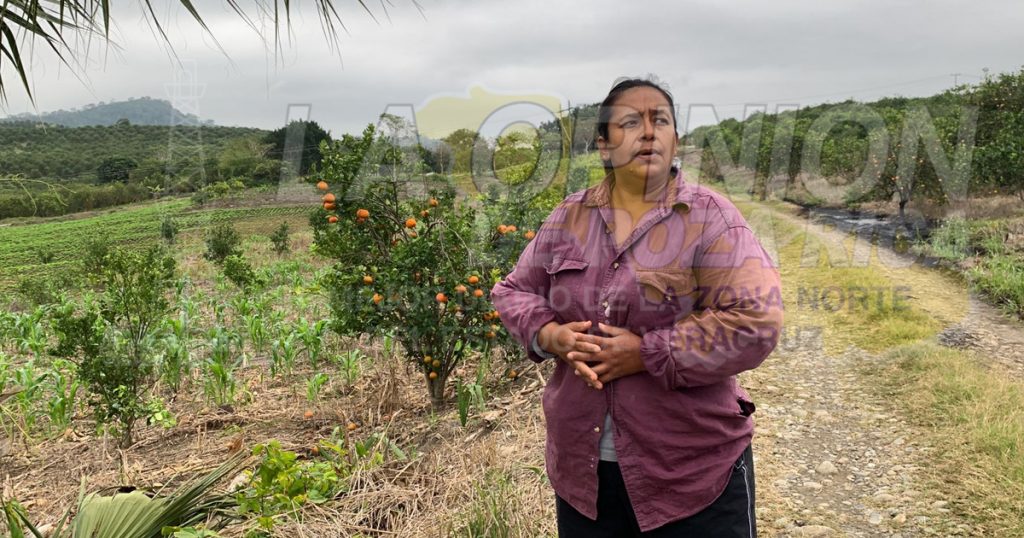 Derrame de chapopote causa daños en parcelas
