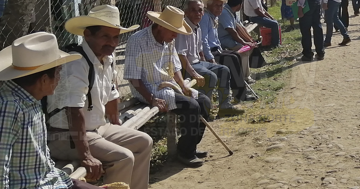 Escasa la siembra de maíz en la región