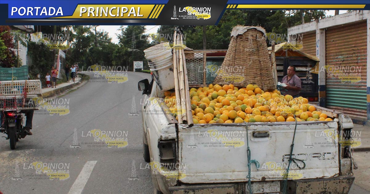 Financian a citricultores