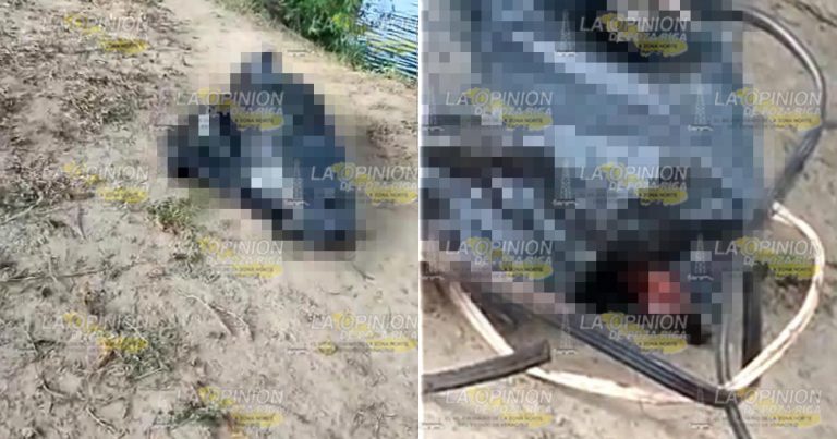 Hallan restos humanos en Nautla