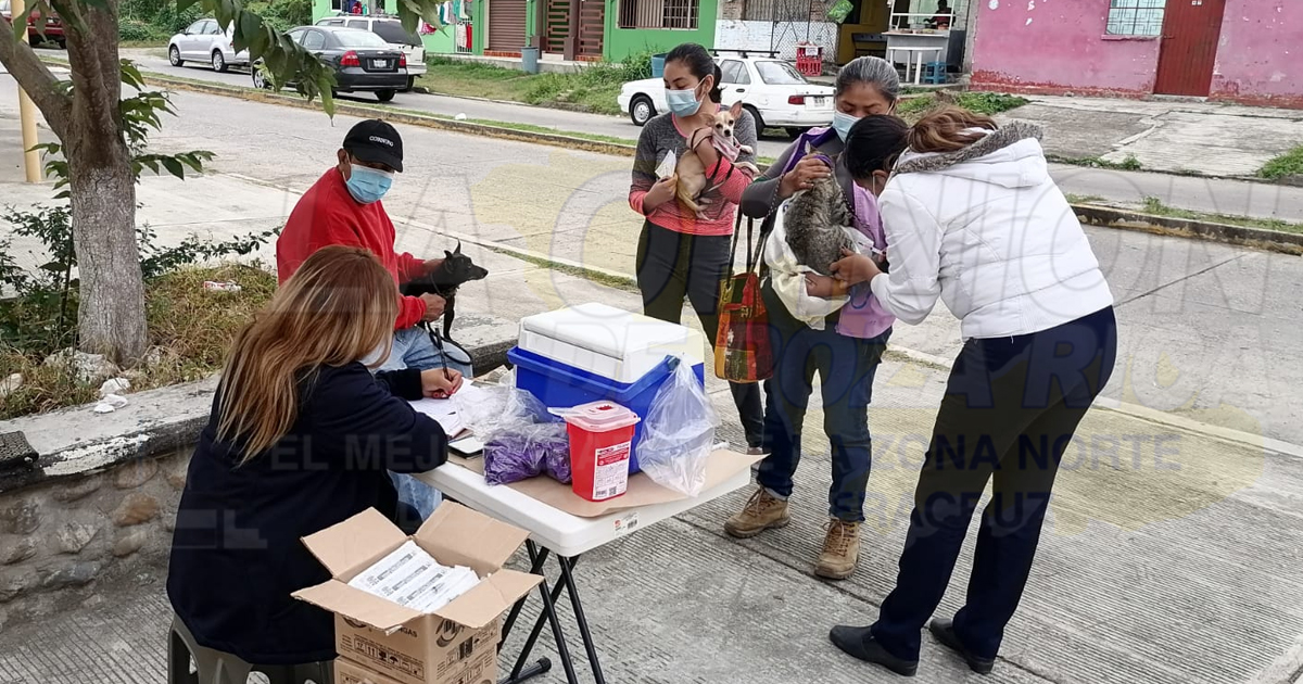 Previenen la rabia con jornada de vacunación en Coatzintla