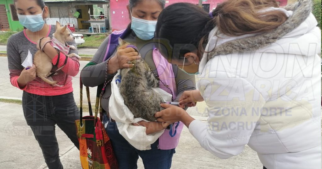 Previenen la rabia con jornada de vacunación en Coatzintla