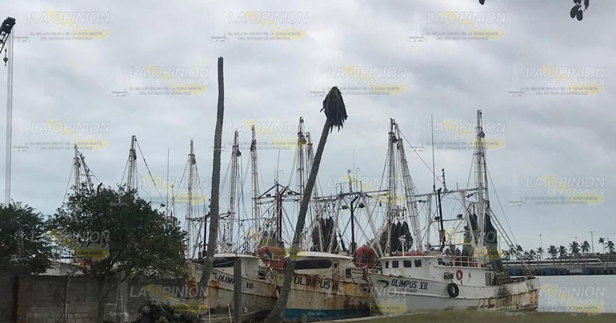 Nueva veda para especies del Golfo de México