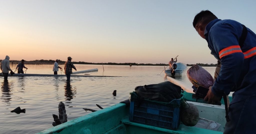 Potente norte derriba 6 postes y deja sin luz a habitantes de la Isla del Ídolo