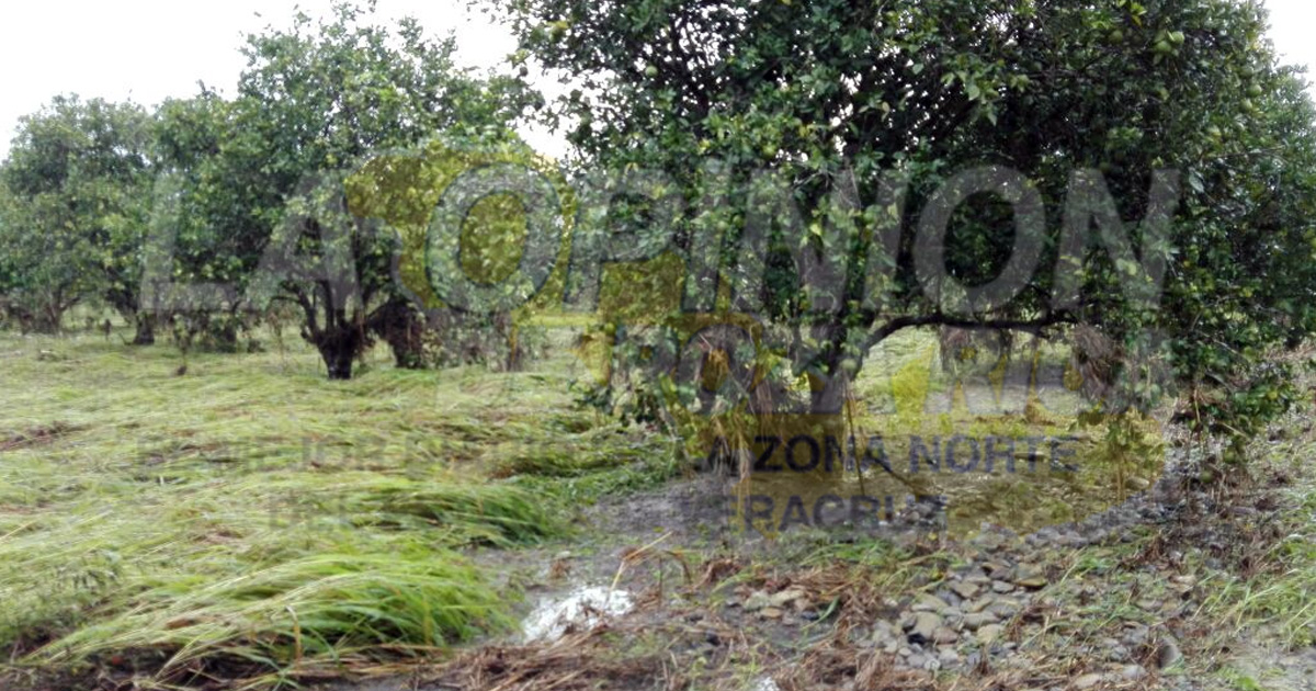 Productores damnificados