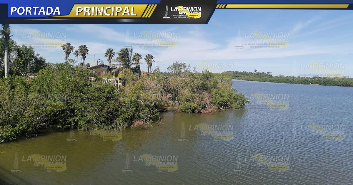 Roban mangle en área protegida Roban mangle en área protegida