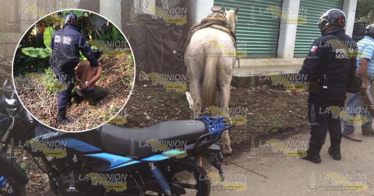 Terminó desnudo tras fallido robo de caballo