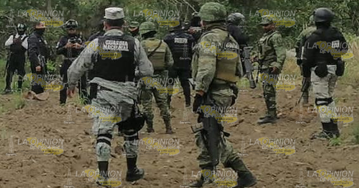 A la caza de los asesinos