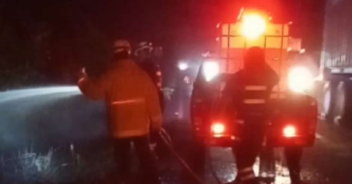 Alarmante incendio a orilla de carretera