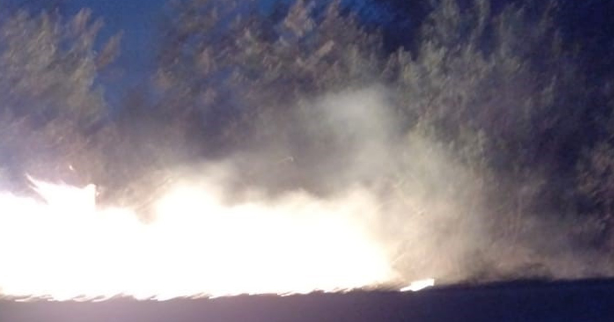 Alarmante incendio a orilla de carretera
