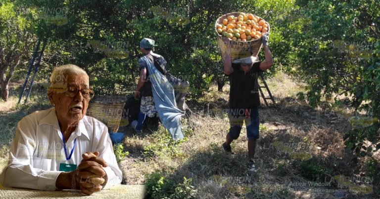 Apoyan a productores de cítricos con créditos