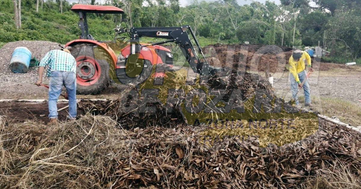 Aprovechan follaje de cultivos para producción de compostas