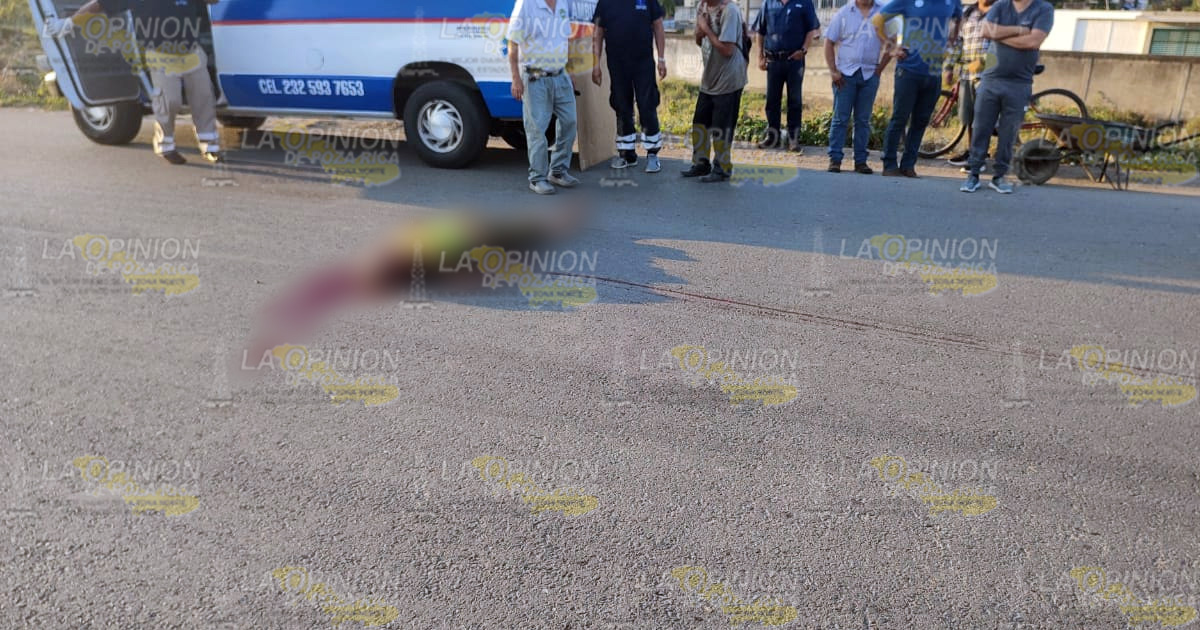 Atropellado y muerto