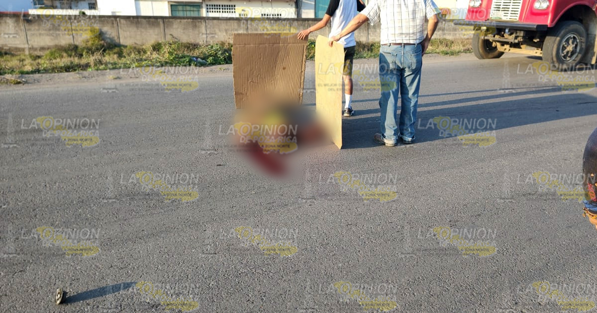 Atropellado y muerto