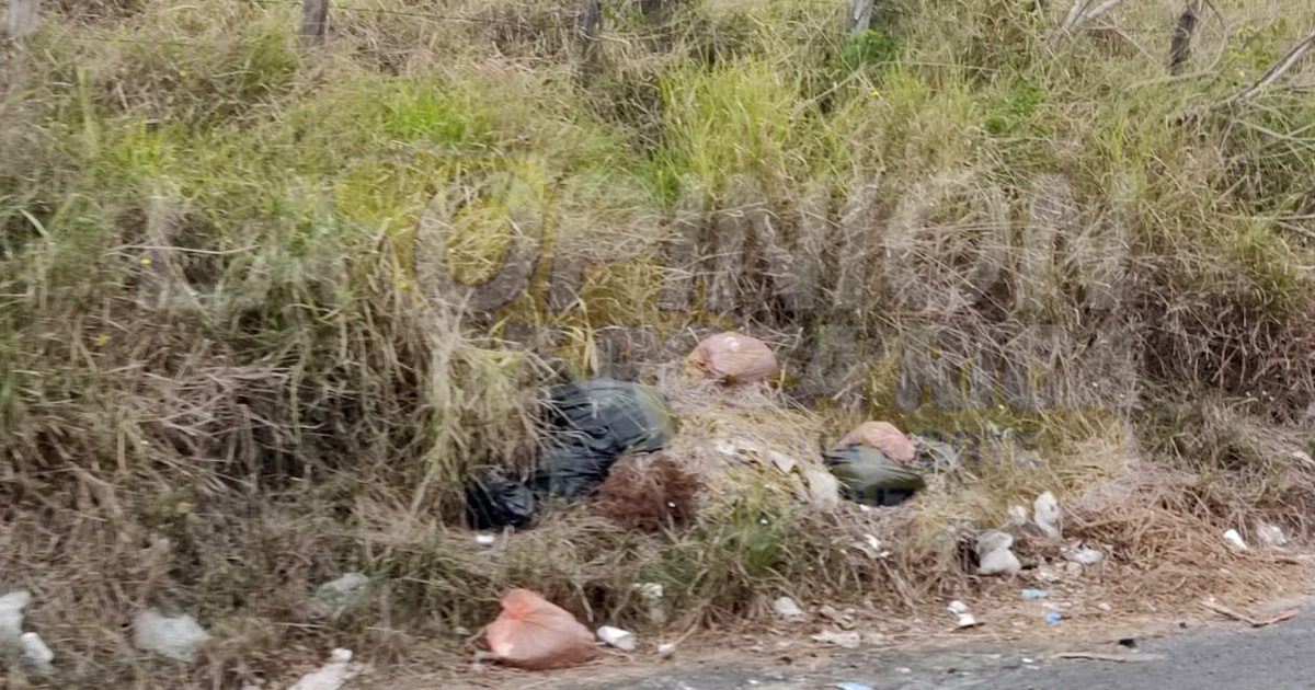 Basureros clandestinos sobre la carretera federal México-Tuxpan