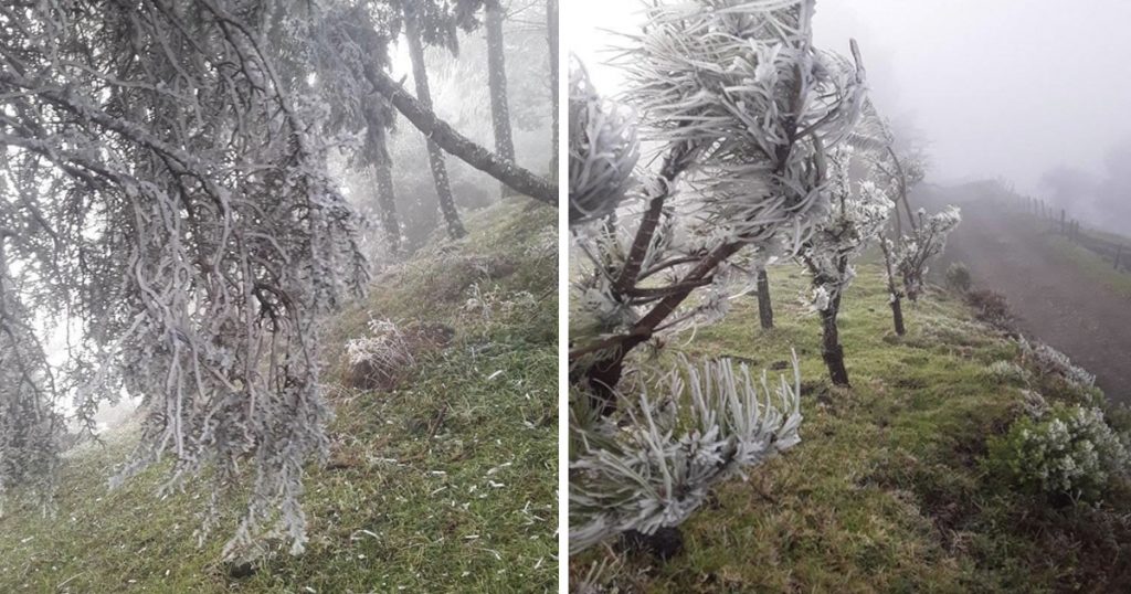 Cencellada, helada y ventisca cubren a Las Vigas