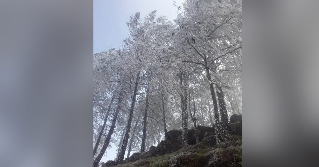 Cencellada, helada y ventisca cubren a Las Vigas