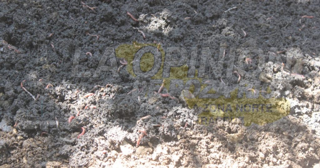 El 70 % de los suelos agrícolas presenta daños por químicos