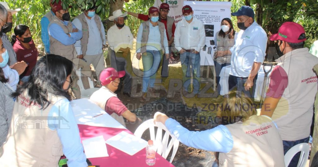 El 70 % de los suelos agrícolas presenta daños por químicos