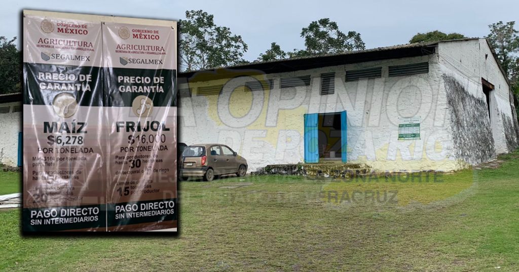 Fluye entrega de maíz en Segalmex