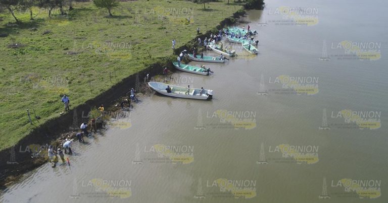 Proyectos para expandir el área de humedales