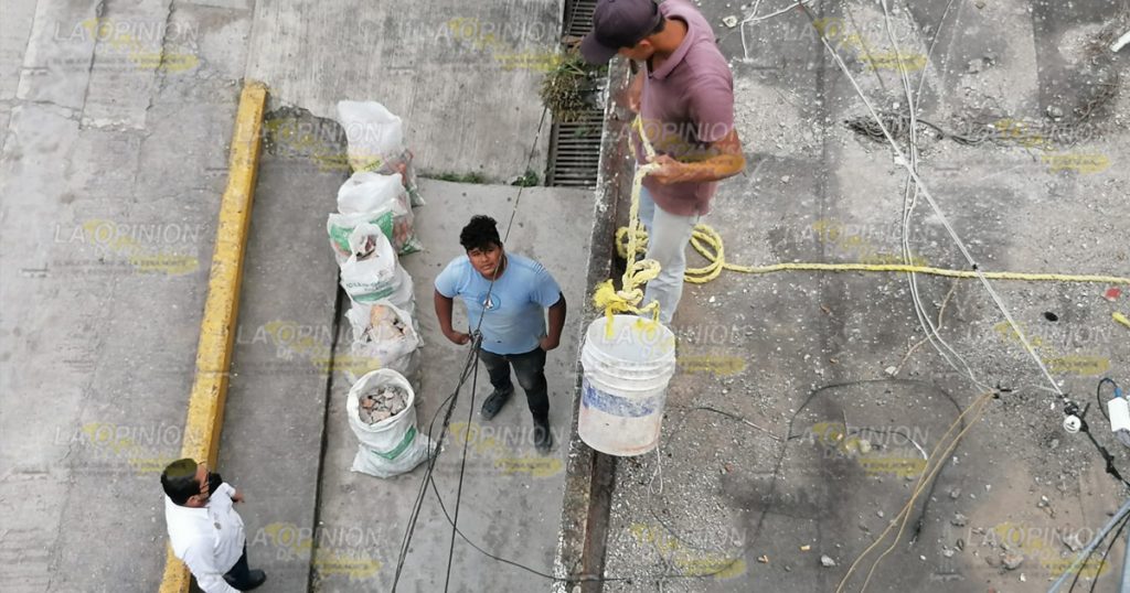 Manita de gato a la oficina de Hacienda del Estado