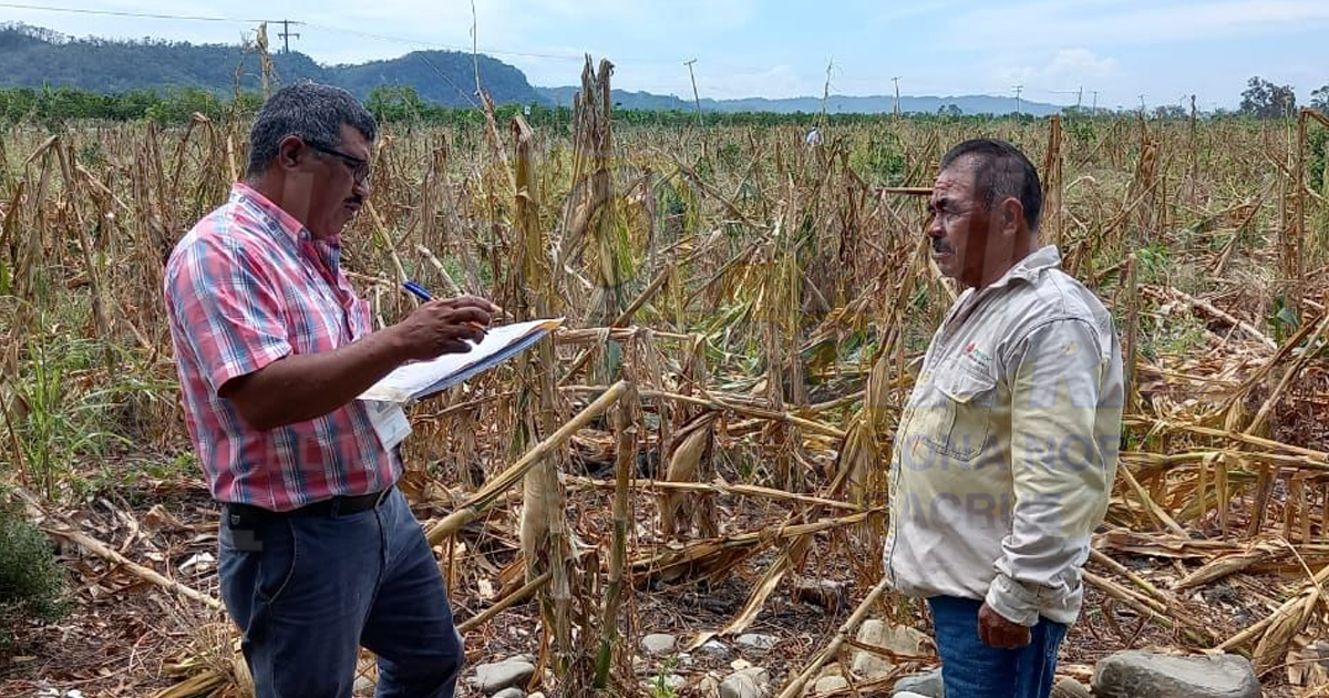 Campesinos exigen pago del seguro el catastrófico