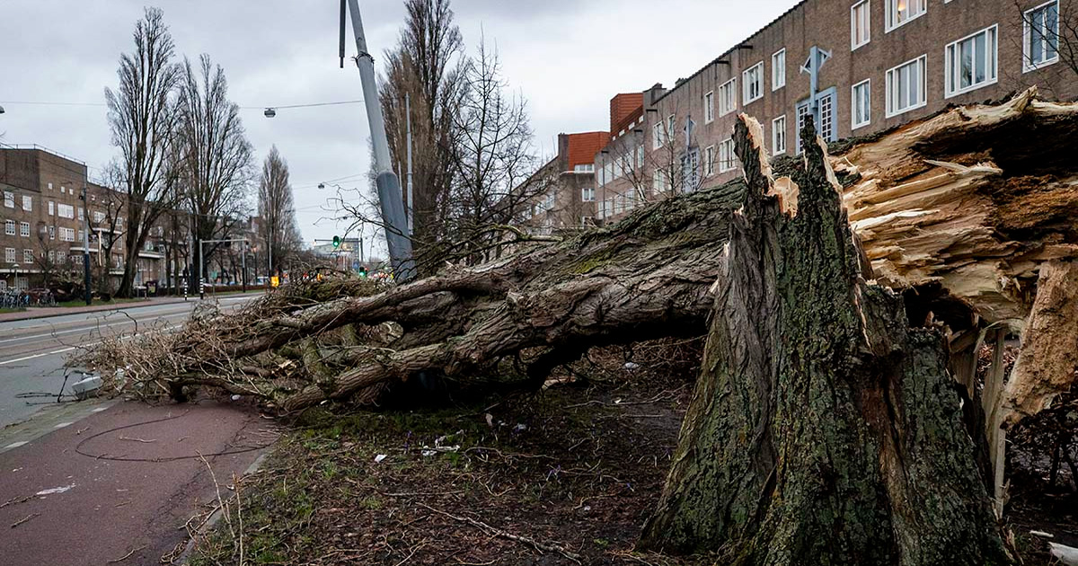 Tormenta Eunice devasta norte de Europa, hay al menos 13 muertos
