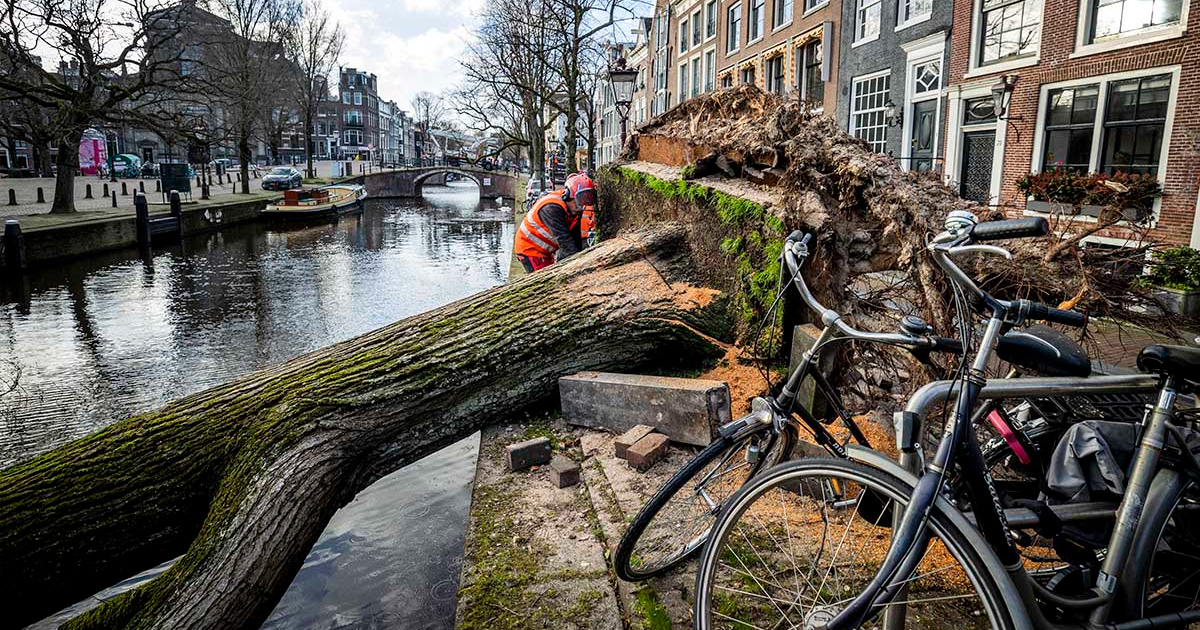 Tormenta Eunice devasta norte de Europa, hay al menos 13 muertos