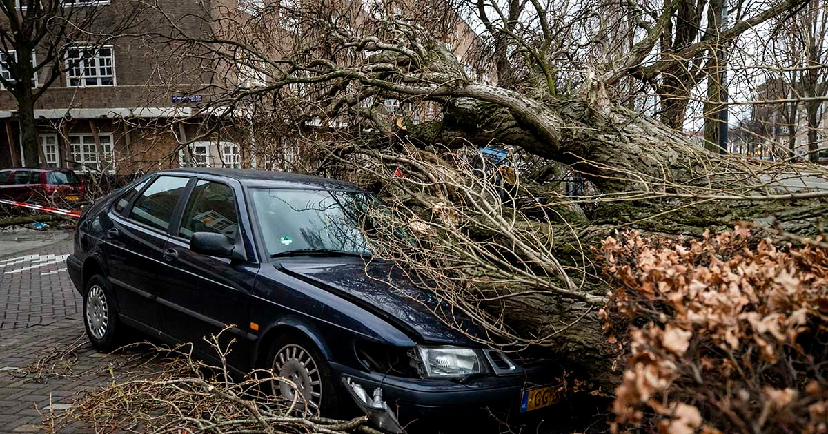 Tormenta Eunice devasta norte de Europa, hay al menos 13 muertos