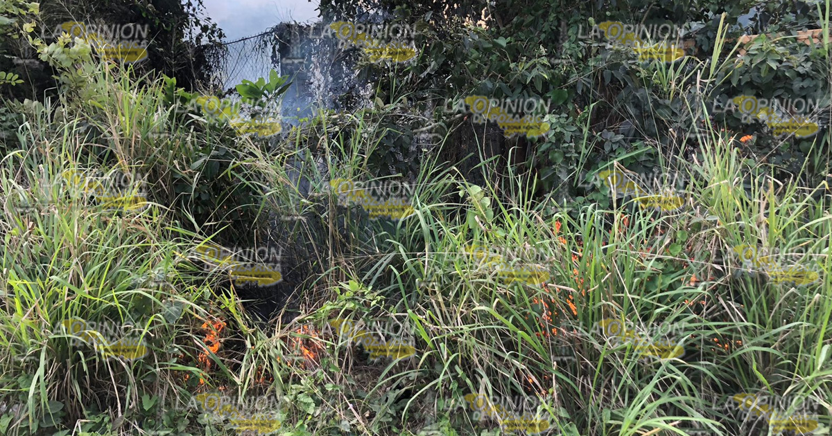 Vándalos provocan incendio