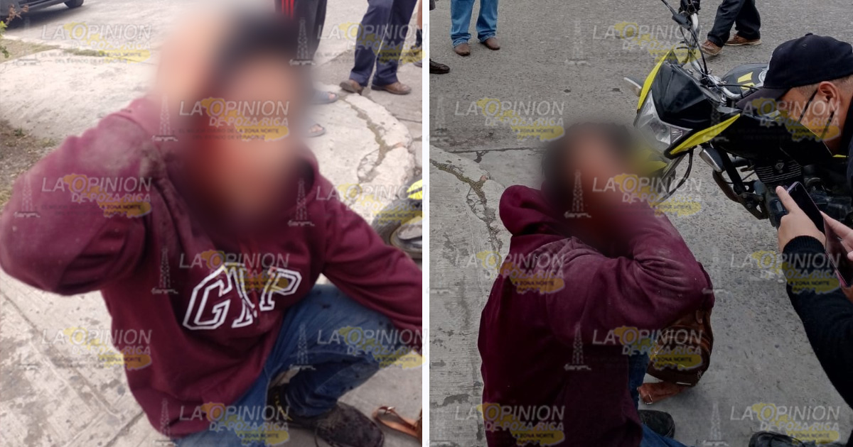 (Video) ¡Choca, vuela y se rompe la cabeza!