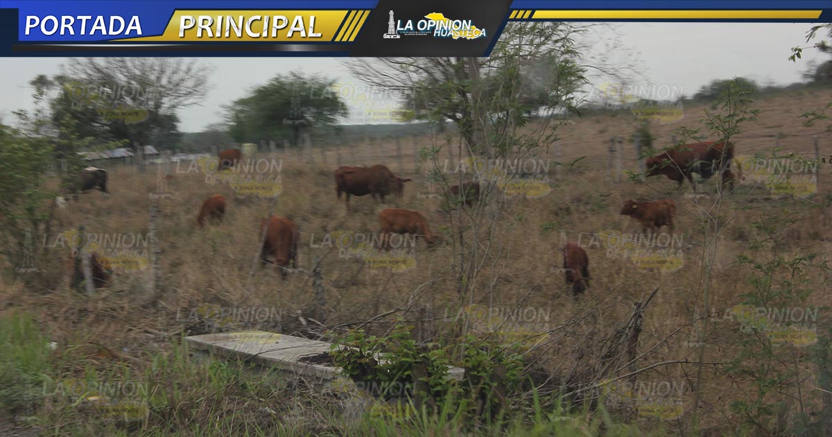 ¡Pronostican sequía mortal!