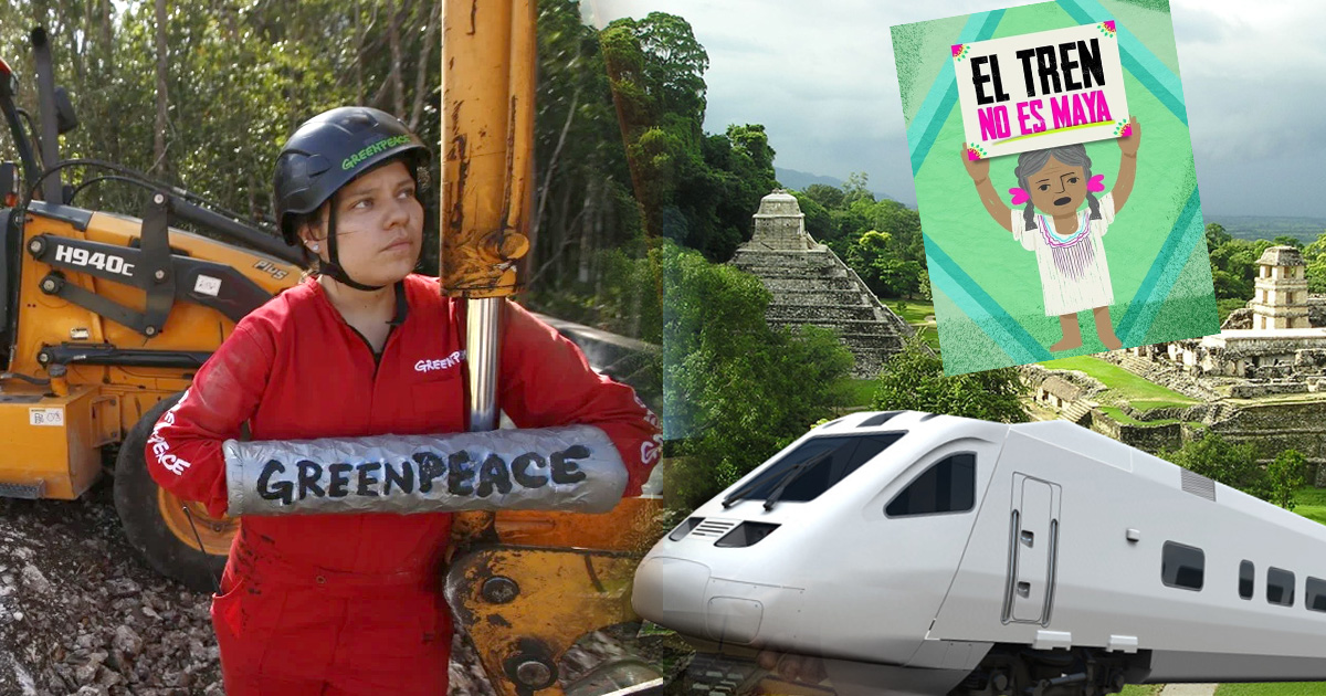 Activistas de Greenpeace se “amarran” a maquinaria del Tren Maya y frenan la obra simbólicamente