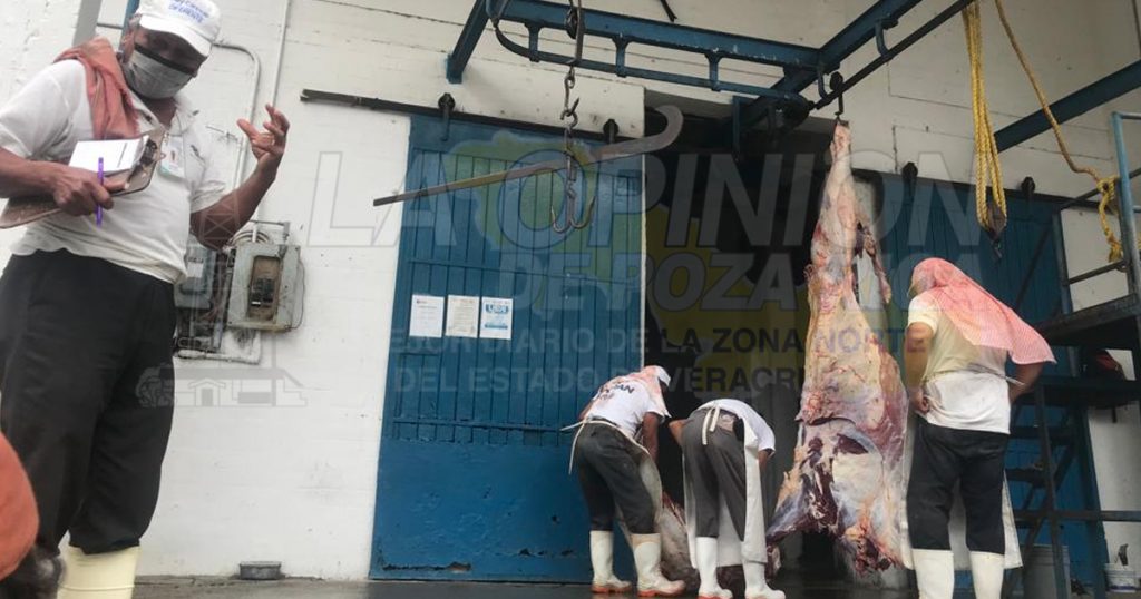 Aumentó la matanza en el rastro en primer bimestre del año