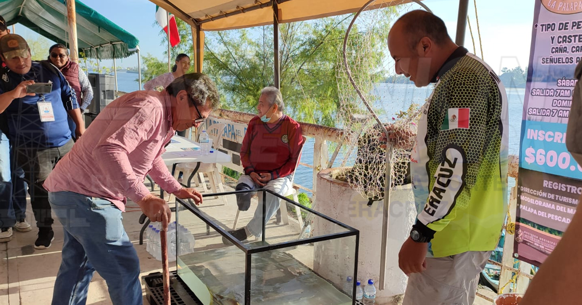 Buscan al robalo más grande de la ribera