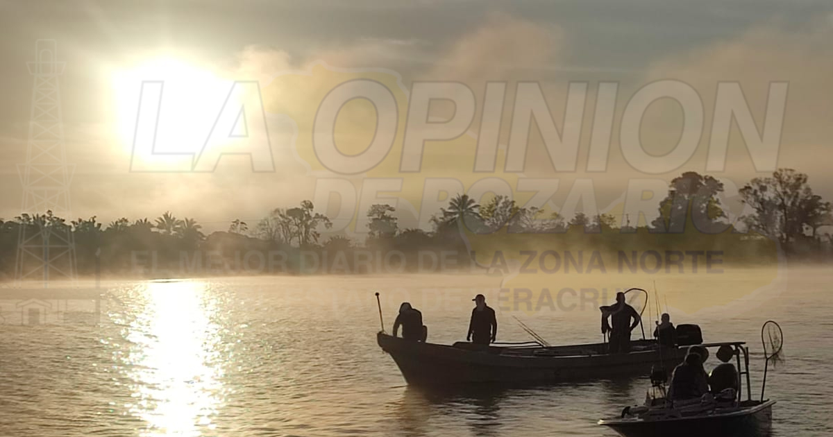 Buscan al robalo más grande de la ribera