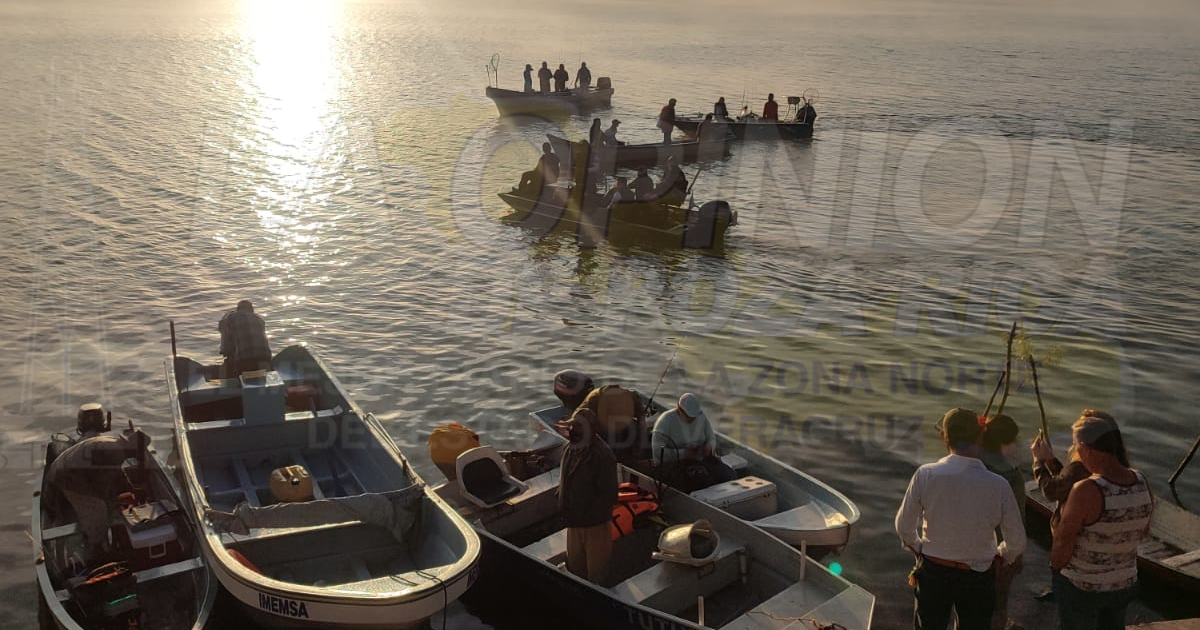 Buscan al robalo más grande de la ribera