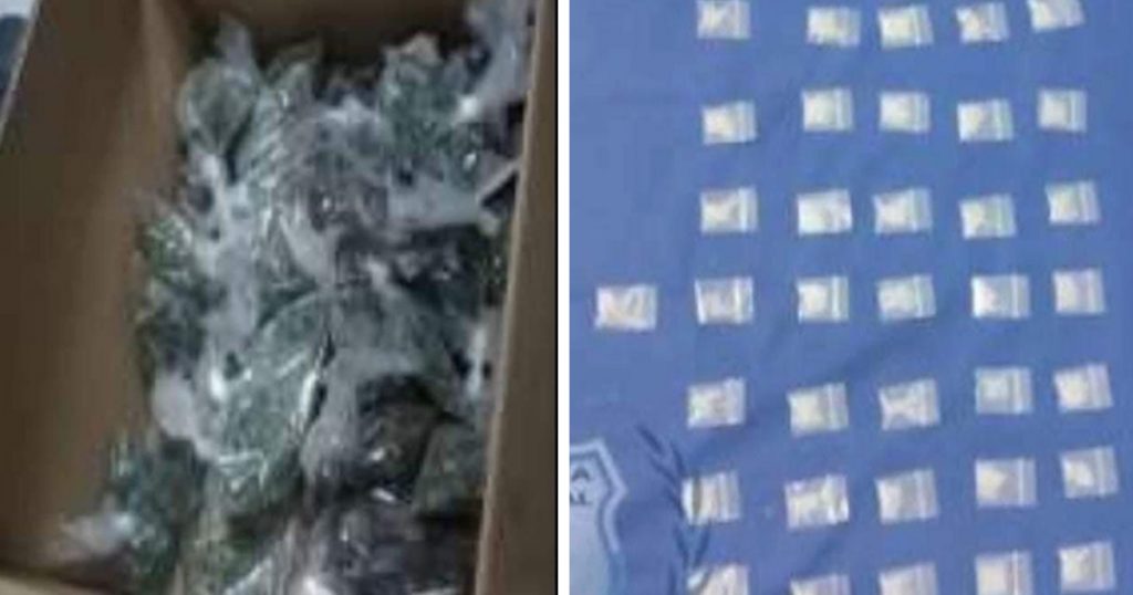 Detiene SSP a cinco por narcomenudeo y uno más por robo de vehículo