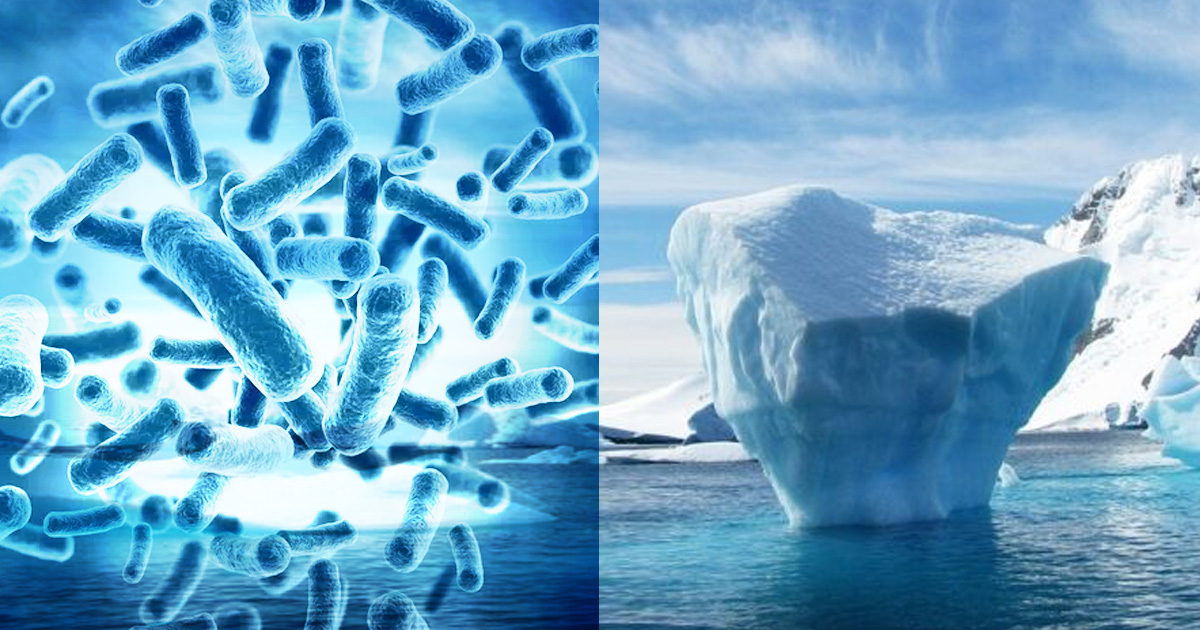 Deshielos podrían filtrar extraños microbios al medio ambiente: NASA
