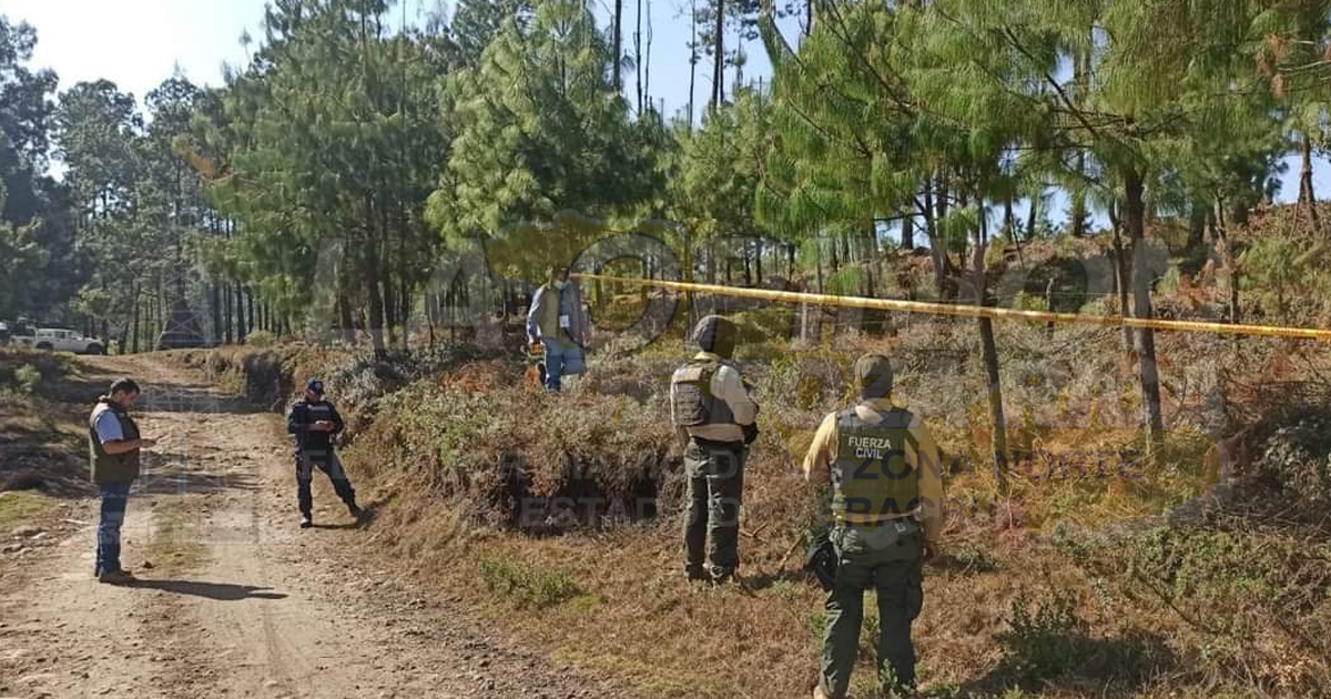 Implementan operativos contra tala clandestina en Perote